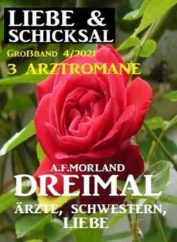 Uksak Liebe & Schicksal Grossband – Nr.4 2021
