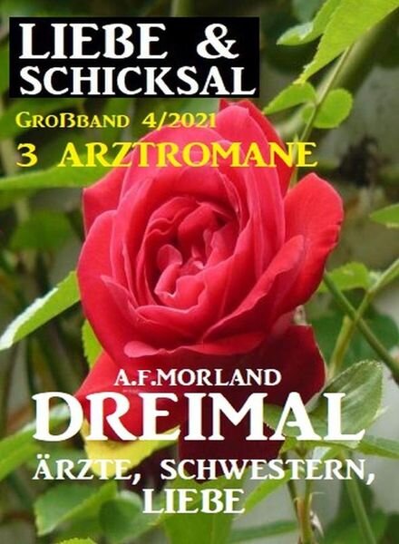 Uksak Liebe & Schicksal Grossband – Nr.4 2021 Cover