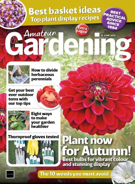 Amateur Gardening – 12 June 2021 Cover