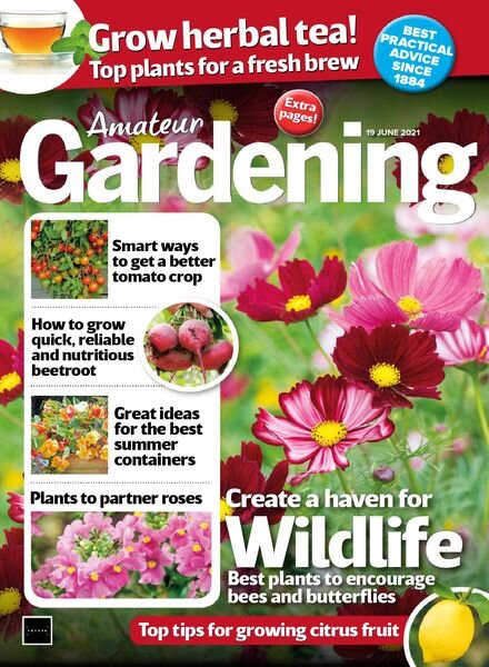 Amateur Gardening – 19 June 2021 Cover