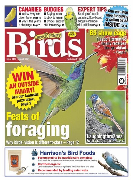 Cage & Aviary Birds – June 2021 Cover