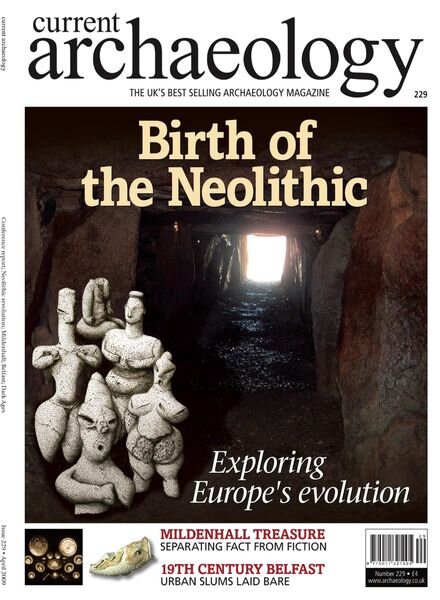 Current Archaeology – Issue 229 Cover