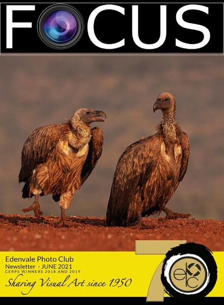 Focus Edenvale Newsletter – June 2021 Cover