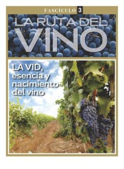 La ruta del VINO – mayo 2021