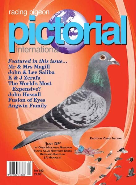 Racing Pigeon Pictorial International – June 2021 Cover