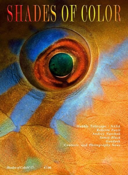 Shades of Color – N 17 2021 Cover