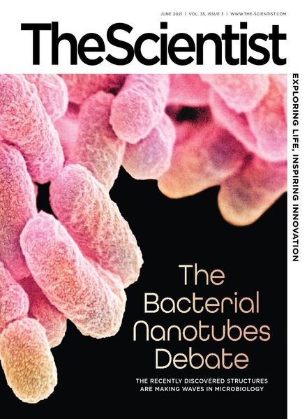 The Scientist – June 2021 Cover