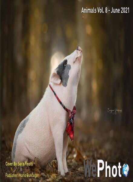 WePhoto Animals – Vol 8 June 2021 Cover