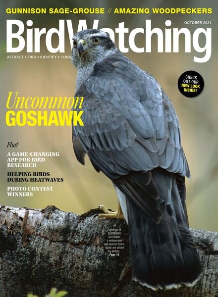 BirdWatching USA – September-October 2021 Cover