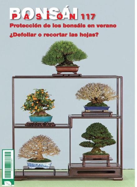 Bonsai Pasion – agosto 2021 Cover