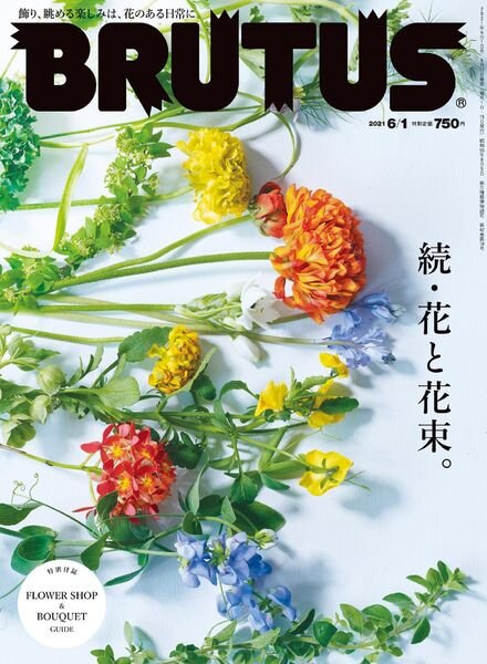 BRUTUS – 2021-05-01 Cover
