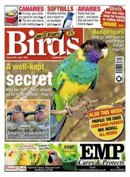 Cage & Aviary Birds – July 2021