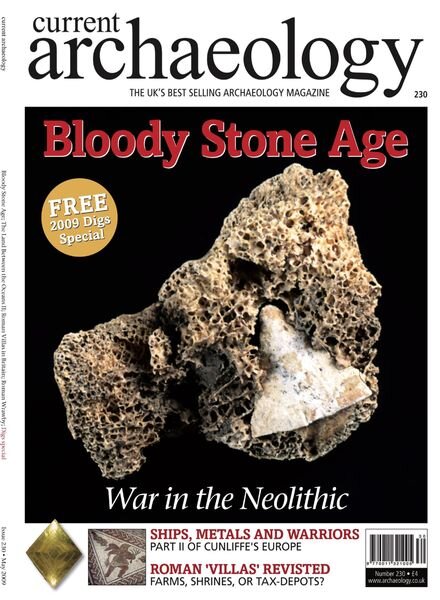 Current Archaeology – Issue 230 Cover