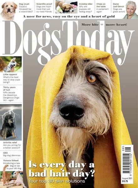 Dogs Today UK – August 2021 Cover