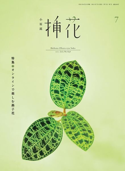 eBooks – 2021-07-01 Cover