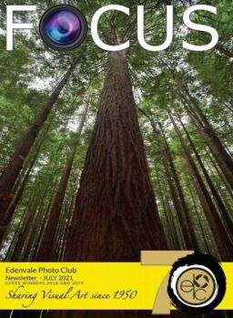Focus Edenvale Newsletter – July 2021