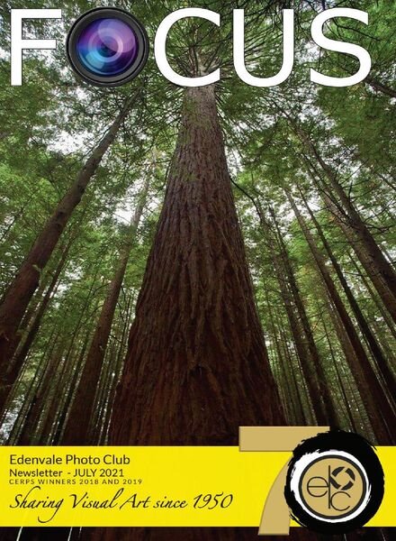 Focus Edenvale Newsletter – July 2021 Cover