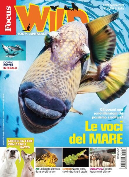 Focus Wild – agosto 2021 Cover