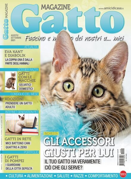 Gatto Magazine – agosto 2021 Cover