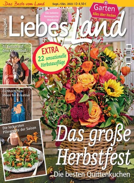 Liebes Land – 11 August 2021 Cover