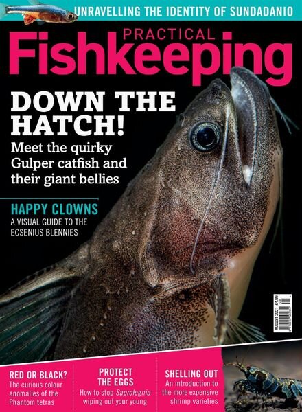 Practical Fishkeeping – August 2021 Cover