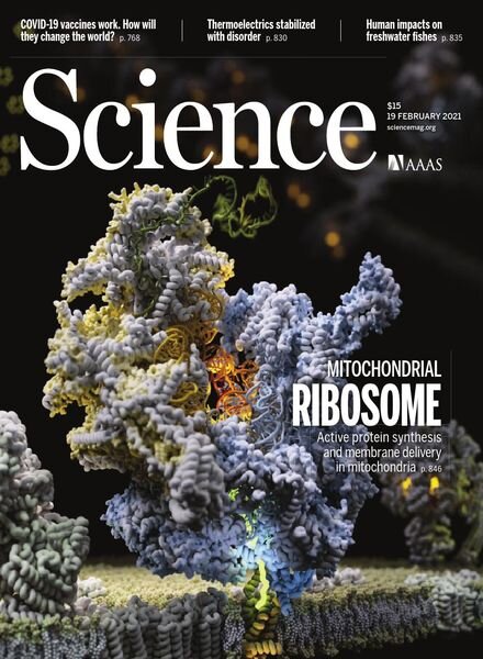 Science – 19 February 2021 Cover