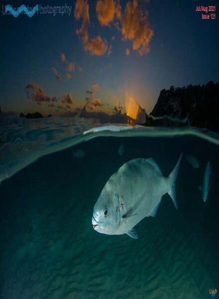 Underwater Photography – July-August 2021 Cover