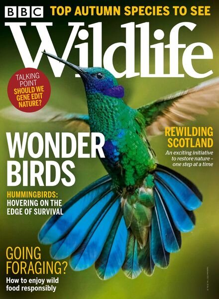 BBC Wildlife – September 2021 Cover