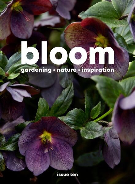 Bloom – August 2021 Cover