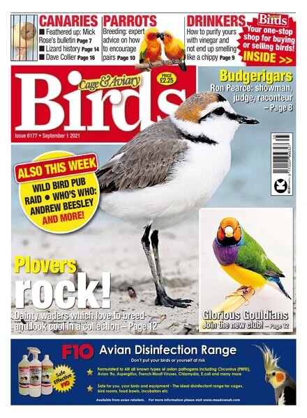 Cage & Aviary Birds – September 2021 Cover