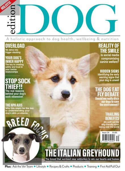 Edition Dog – Issue 34 – July 2021 Cover