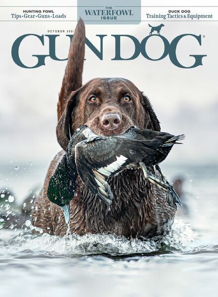 Gun Dog – October 2021 Cover