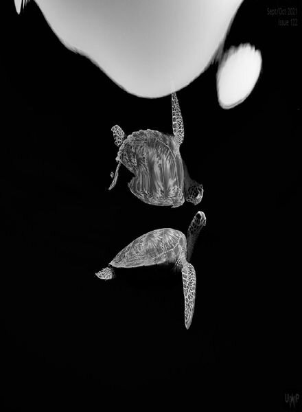 Underwater Photography – September-October 2021 Cover