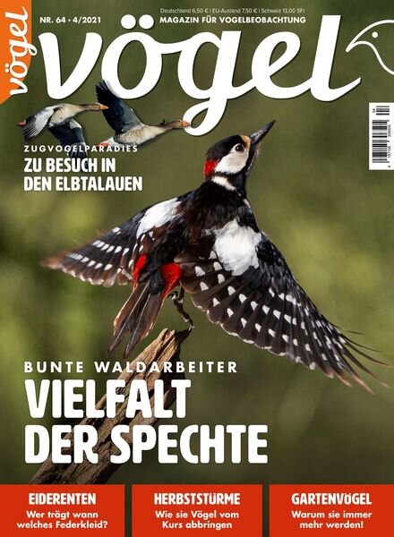 VOGEL – Magazin fur Vogelbeobachtung – 03 September 2021 Cover