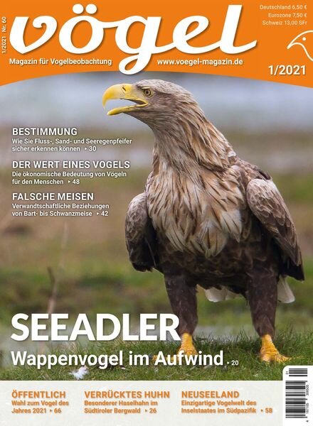 VOGEL – Magazin fur Vogelbeobachtung – 04 Dezember 2020 Cover