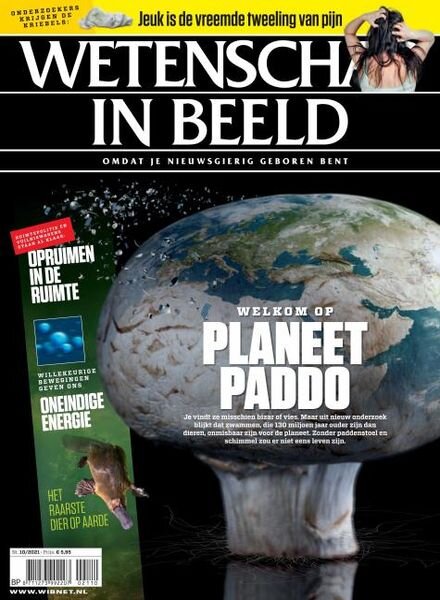 Wetenschap in Beeld – oktober 2021 Cover