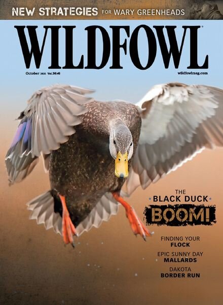Wildfowl – October 2021 Cover