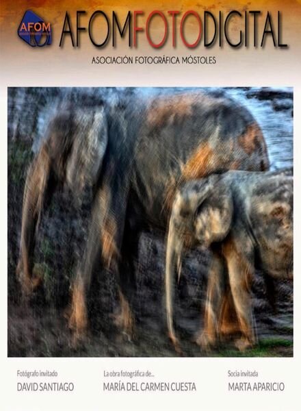 AfomFotoDigital – N 18 2021 Cover