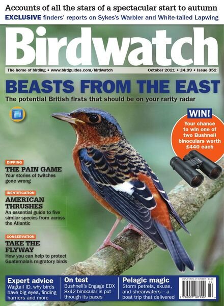 Birdwatch UK – Issue 352 – October 2021 Cover