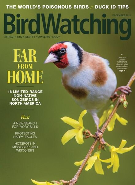 BirdWatching USA – November-December 2021 Cover