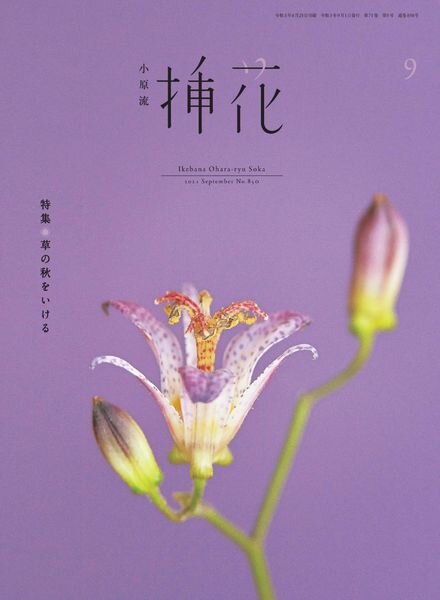 eBooks – 2021-08-01 Cover