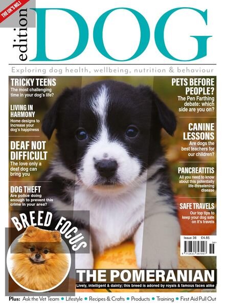 Edition Dog – Issue 36 – September 2021 Cover