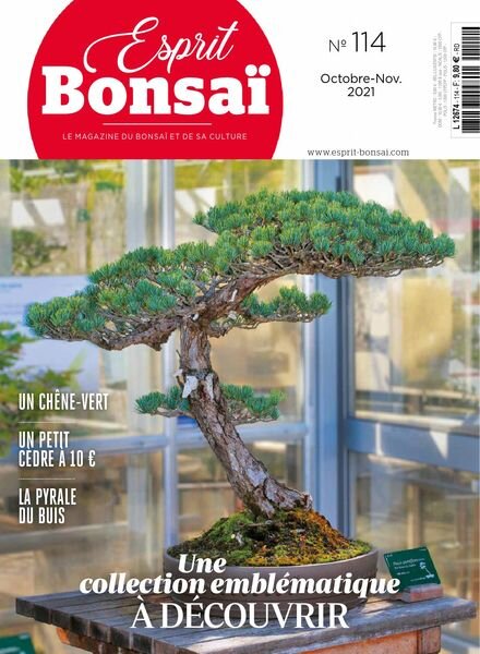 Esprit Bonsai – octobre 2021 Cover