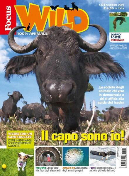 Focus Wild – novembre 2021 Cover