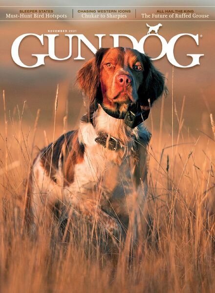 Gun Dog – November 2021 Cover
