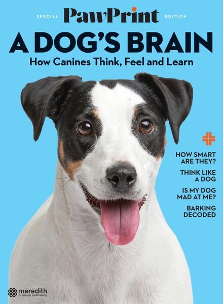 PawPrint Inside a Dog’s Brain – October 2021 Cover