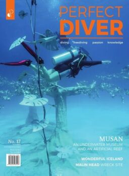 Perfect Diver – September-October 2021