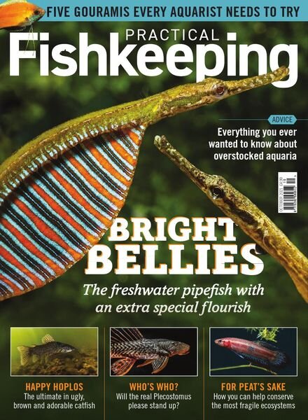 Practical Fishkeeping – October 2021 Cover