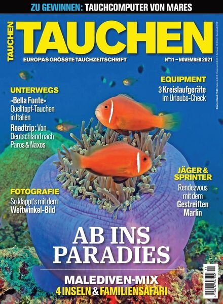 Tauchen – November 2021 Cover