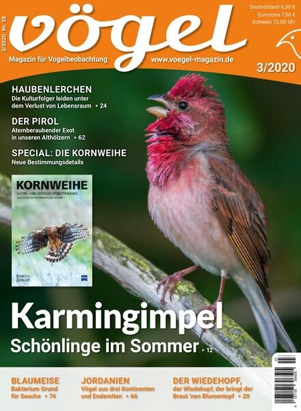 VOGEL – Magazin fur Vogelbeobachtung – 05 Juni 2020 Cover